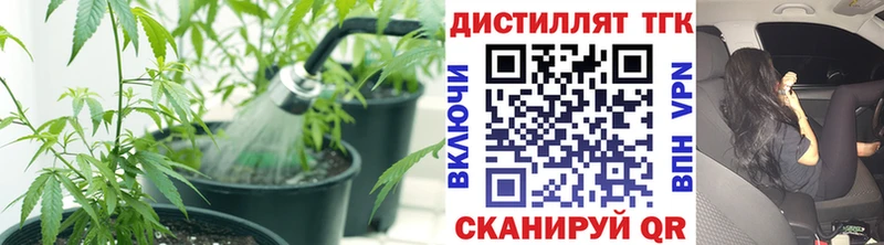 Дистиллят ТГК жижа Купить где Балашов